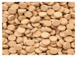 100g GLOPEX Allium Tablet tabletki z dodatkiem czosnku pokarm dla ryb
