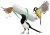 prod_6084610_2_0c019c282_large.jpg