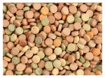 1kg GLOPEX Mix Tablet mieszanka tabletek pokarm karma dla ryb