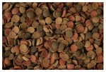200g GLOPEX Small Wafers pokarm wafelki dla glonojada kirysa ryb dennych