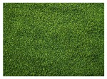200g GLOPEX Algen Gran granulat ze spiruliną pokarm dla ryb 1,2-1,5mm