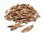 2200g Stinte stynka suszone naturalne rybki pokarm dla gadów i płazów