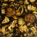 Cukinia 250g suszona chipsy warzywa dla gryzoni królików świnki witaminy