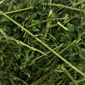 Lucerna 0,5kg suszona łodyga liście dla gryzoni królika świnki zioła Champi