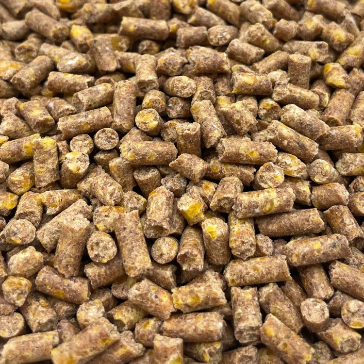 prod_6085372_3_038ef66e3_large.jpg