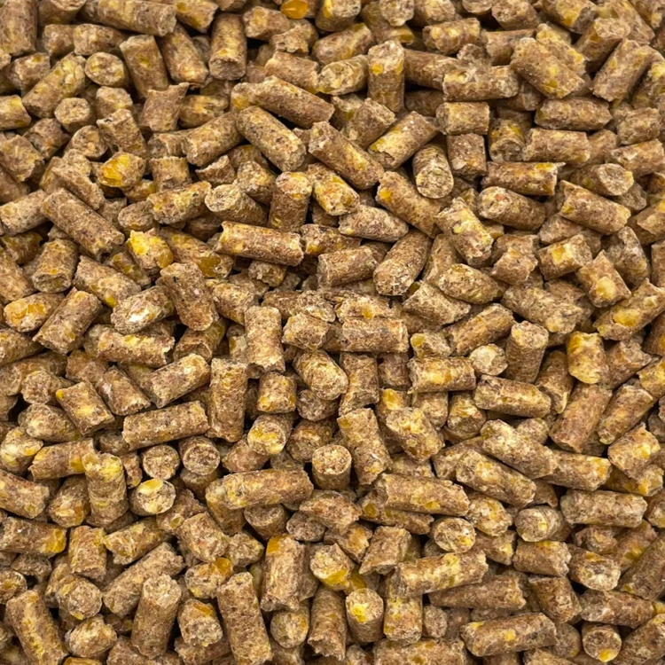 prod_6085371_0_c25a9e5c0_large.jpg