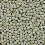 25kg Groch żółty całe ziarno zanęta wędkarska karp karaś leszcz