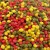 prod_6085159_0_f9e165ca0_large.jpg