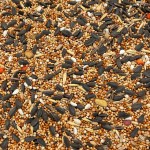 14kg Champi karma PREMIUM pokarm dla papug średnich Nimfy nierozłączki