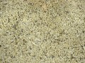 prod_6082380_0_37bfcbbc0_large.jpg