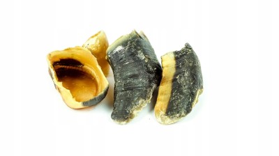 prod_6083474_0_9bd7f1120_large.jpg