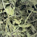 BABKA LANCETOWATA 400g zioła karma dla królika świnki gryzoni Champi