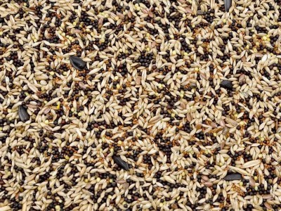 1kg Karma dla kanarka pełnoporcjowy pokarm dla kanarków i drobnej egzotyki