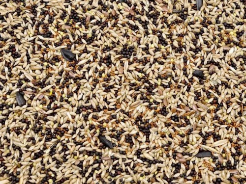 1kg Karma dla kanarka pełnoporcjowy pokarm dla kanarków i drobnej egzotyki