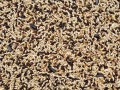 1kg Karma dla kanarka pełnoporcjowy pokarm dla kanarków i drobnej egzotyki