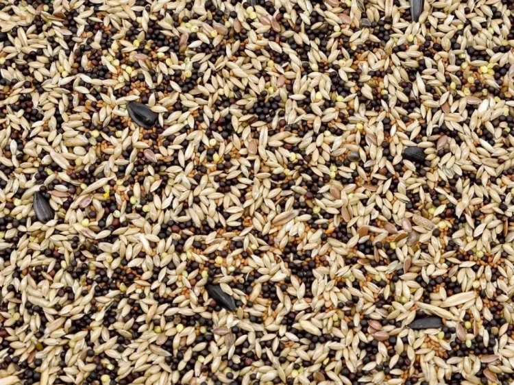 1kg Karma dla kanarka pełnoporcjowy pokarm dla kanarków i drobnej egzotyki