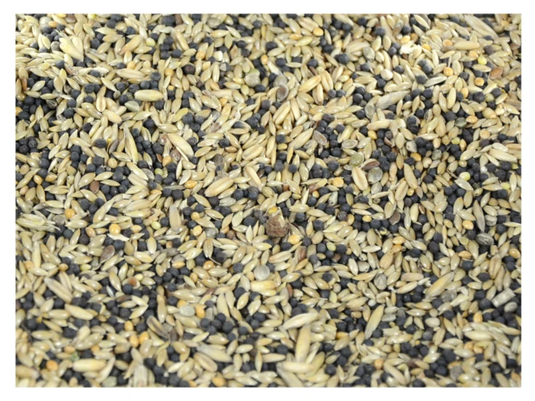 1kg Karma dla kanarka pełnoporcjowy pokarm dla kanarków i drobnej egzotyki