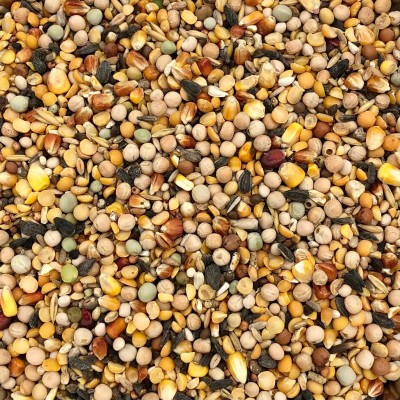 20kg Gruba pokarm dla gołębi kur ziarno karma pasza mieszanka uniwersalna