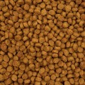 MINI HAPPY Sucha karma małe i średnie psy mieszanka kurczak z ryżem 10kg