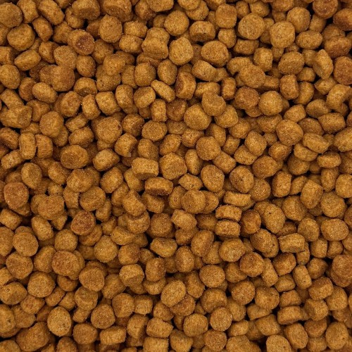 MINI HAPPY Sucha karma małe i średnie psy mieszanka kurczak z ryżem 10kg