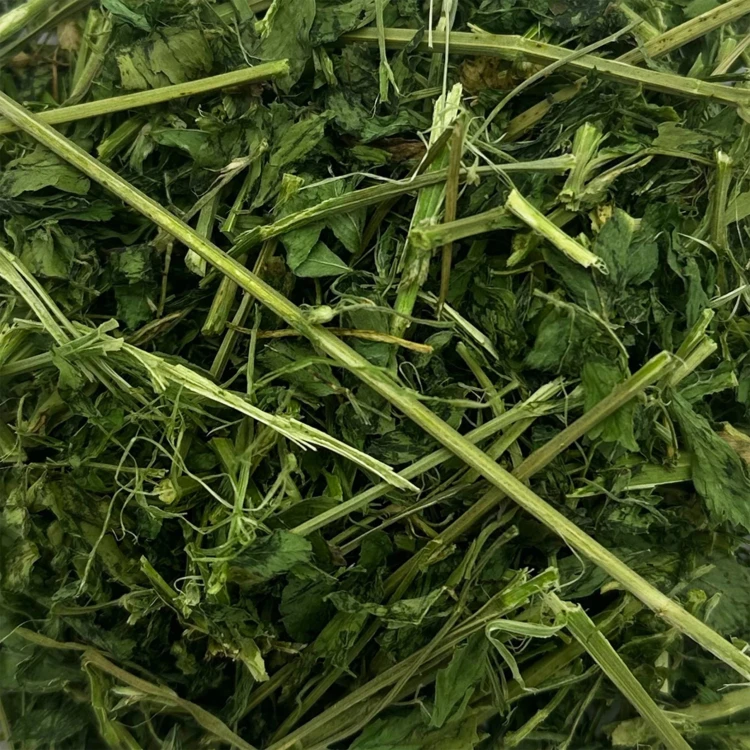 Lucerna suszona 400g zioła dla gryzoni królika świnki karma Champi