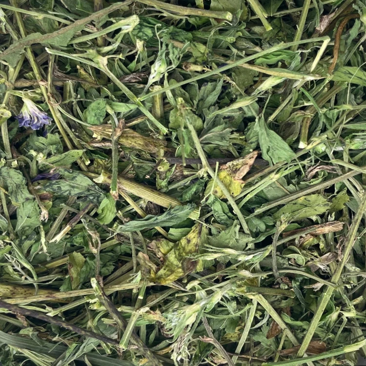 Lucerna suszona 400g zioła dla gryzoni królika świnki karma Champi