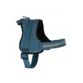 KERBL SZELKI MAESTRO 2.0 [M] PIES 64-90cm 80212