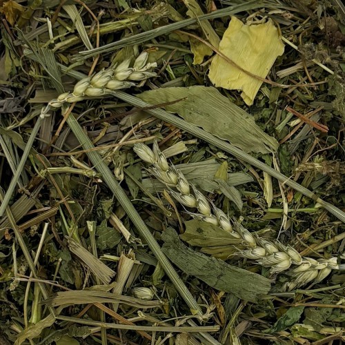 POLNY BUKIET 1kg zioła dla gryzoni królika witaminy z natury karma Champi