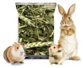 POLNY BUKIET 1kg zioła dla gryzoni królika witaminy z natury karma Champi