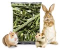 Koperek 400g karma dla gryzoni królika świnki łodyga kopru zioła Champi