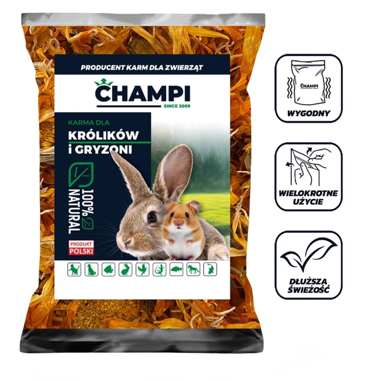Nagietek 100g suszone kwiaty dla gryzoni królika świnki zioła Champi