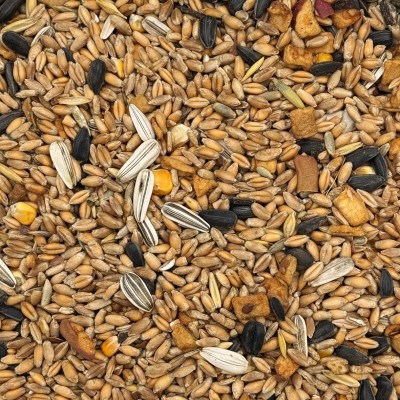 1kg Karma zimowa Uniwersalna zimowa całoroczna pokarm zimowy dla ptaków
