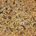 1kg Karma zimowa Uniwersalna zimowa całoroczna pokarm zimowy dla ptaków