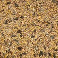 1kg Karma zimowa Uniwersalna zimowa całoroczna pokarm zimowy dla ptaków