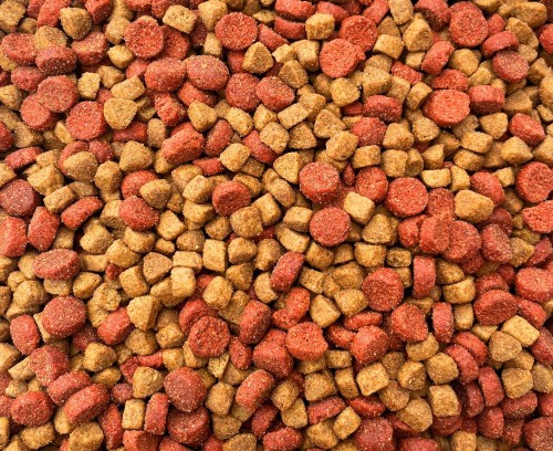 10kg MAXIPET Sucha karma dla kota pełnoporcjowa kurczak z indykiem