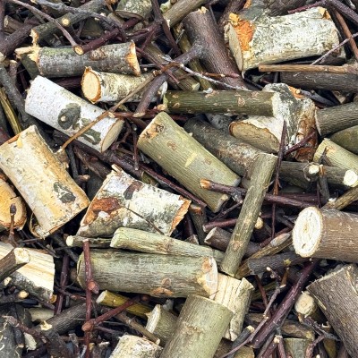 800g Gałązki wierzby lipy brzozy karma dla świnki królika szynszyli Champi