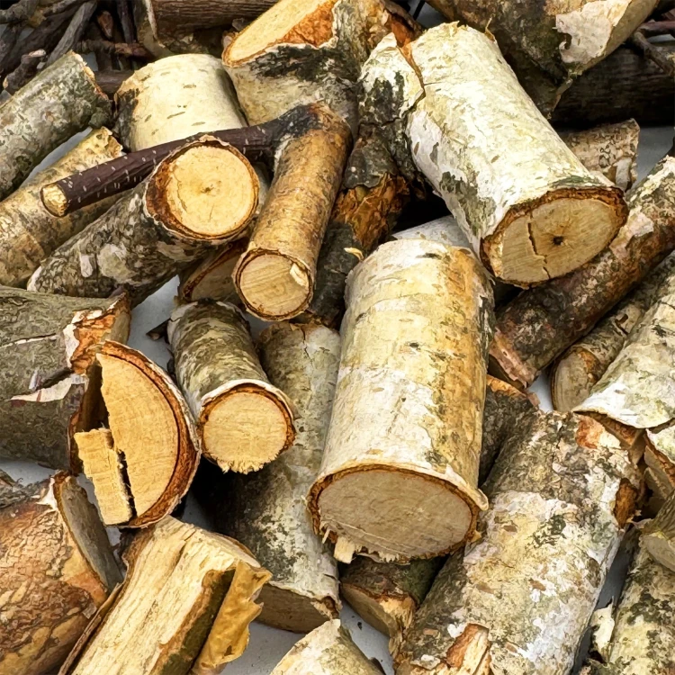 800g Gałązki wierzby lipy brzozy karma dla świnki królika szynszyli Champi