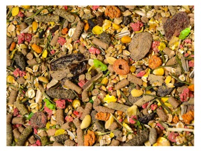 19kg PODSTAWOWA Karma dla gryzoni królika chomika świnki morskiej