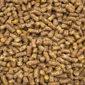 4,5kg 4mm Pellet KUKURYDZA granulat zanętowy zanęta na karpia leszcz