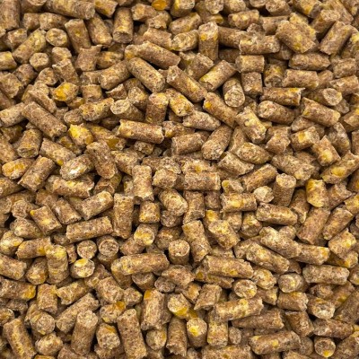 4,5kg 4mm Pellet KUKURYDZA granulat zanętowy zanęta na karpia leszcz