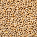4,5kg Ciecierzyca cieciorka wędkarska ziarno zanęta karp leszcz