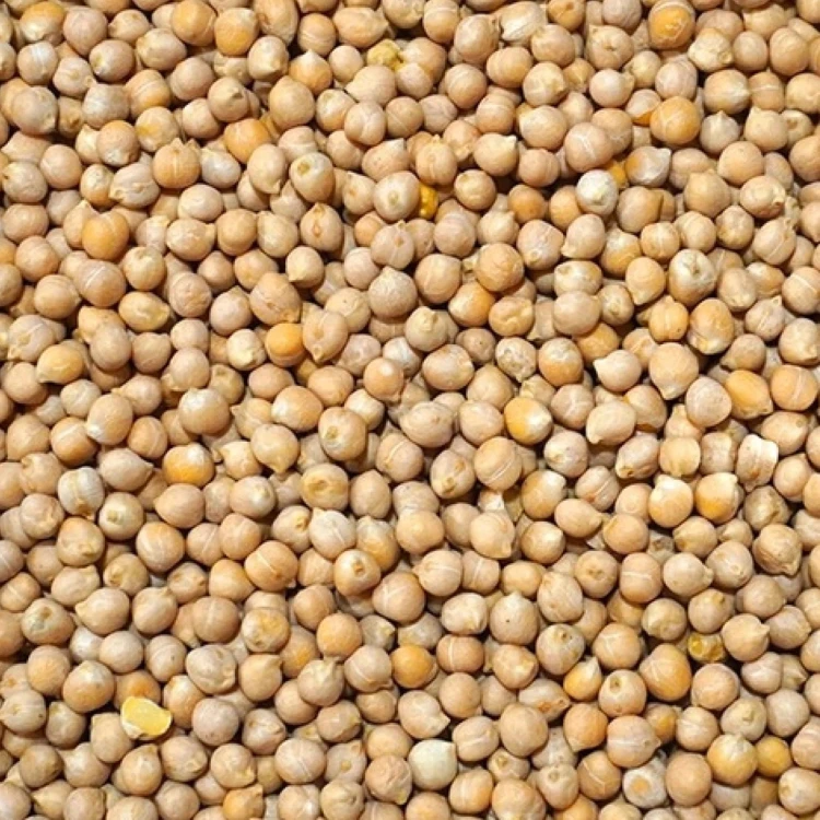 4,5kg Ciecierzyca cieciorka wędkarska ziarno zanęta karp leszcz