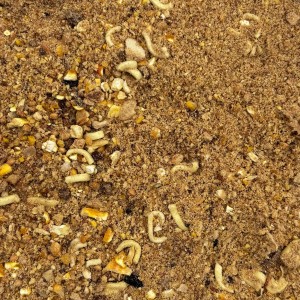 Zanęta wędkarska słodka CIASTECZKO denna karp leszcz płoć 4,5kg nr.1