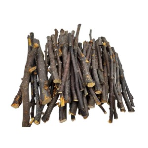 Gałązki 1kg 10-15cm GRUSZY I JABŁONI dla świnki królika szynszyli CHAMPI