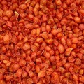 Marchew KULKA 500g marchewka suszona warzywa dla gryzoni świnki królika Cha