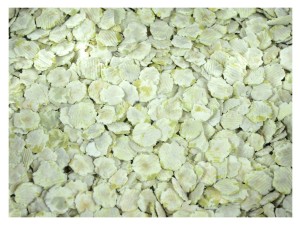 4,5kg Groch Gnieciony gniecony płatek mikronizowany dla papug średnia i duż