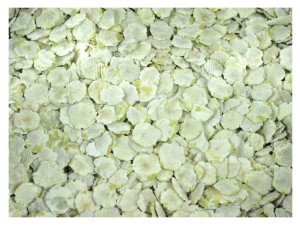 4,5kg Groch gniecony gnieciony mikronizowany zanęta wędkarska karp karaś