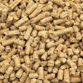 Champi Pellet żwirek drewniany jasny z trociny dla gryzoni królika 15kg