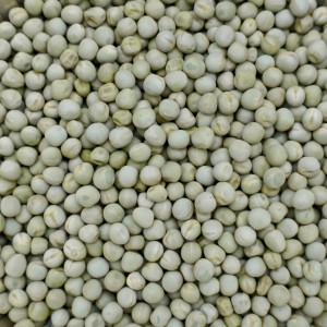 4,5kg Groch żółty ziarno karma pokarm dla gryzoni gołębi kur