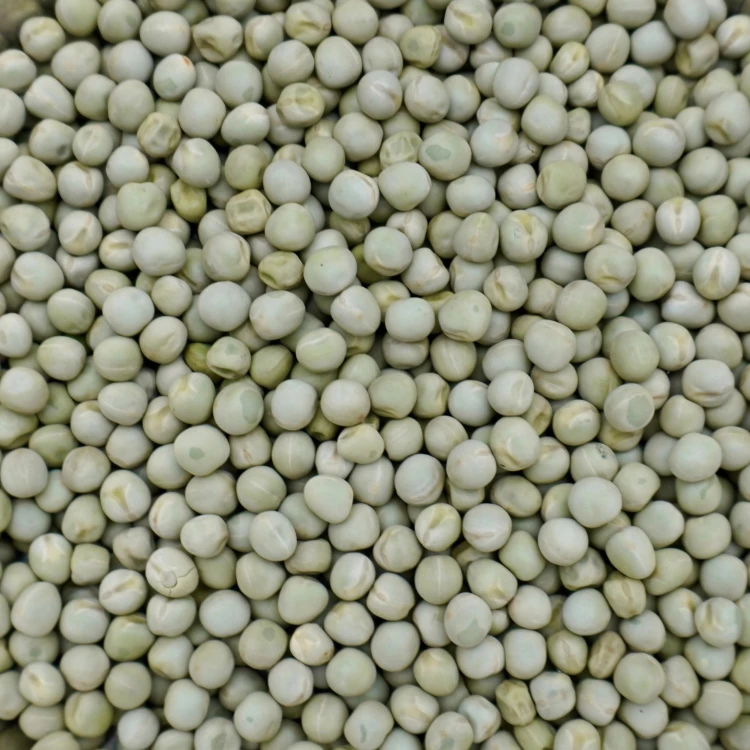4,5kg Groch żółty ziarno karma pokarm dla gryzoni gołębi kur